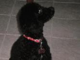 mii bb hermoosa!.. :D
