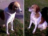 BUSCAMOS A 