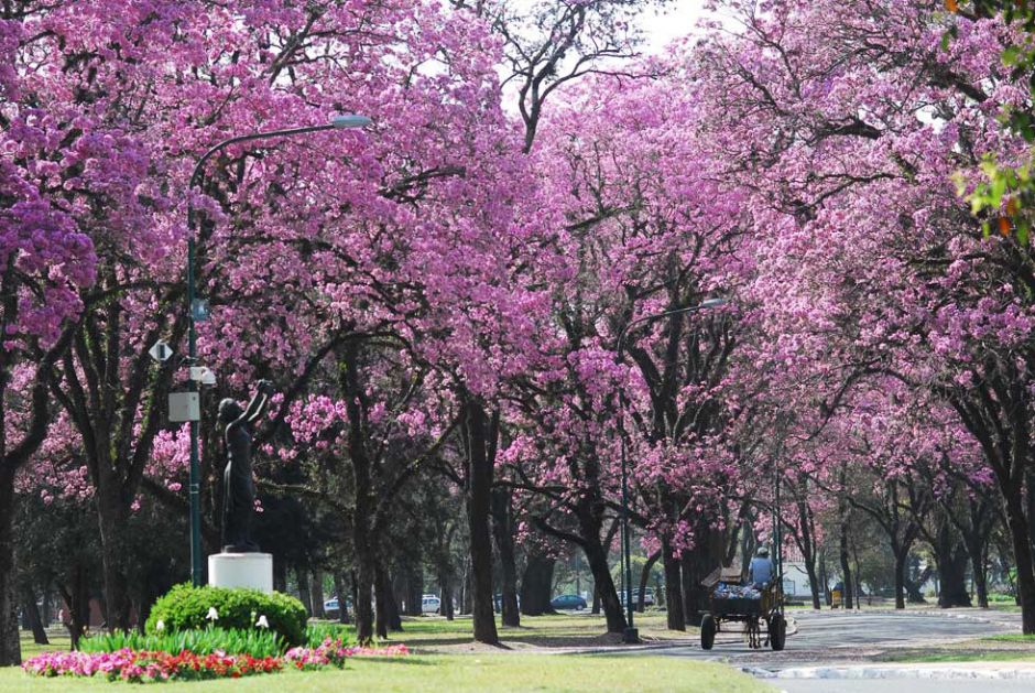 Al Jardín de la República LA GACETA Tucumán
