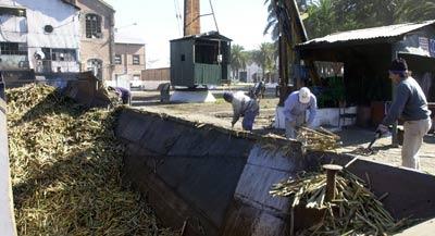 OBJETIVO. Se estudia en profundidad el avance de la agroindustria azucarera. LA GACETA / JOSE NUNO