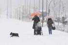 INTREPIDOS. Los más audaces se animaron a salir a la calle. REUTERS
