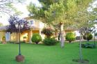 Jardín y pileta