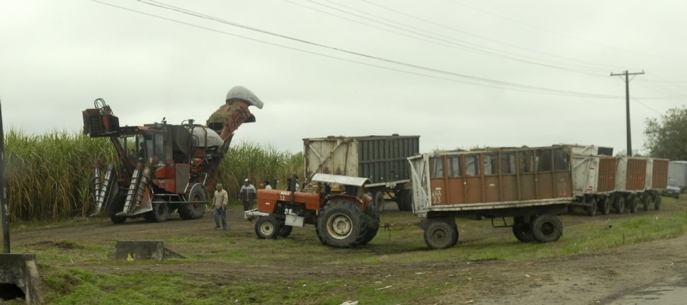 A TODA MARCHA. La cosecha y la zafra avanzan y son buenas las expectativas para la industria este año, según relevamientos de los productores. LA GACETA / OSVALDO RIPOLL