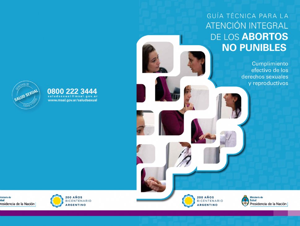 PAGINA OFICIAL. En el sitio web del Ministerio de Salud de la Nación se puede consulta la guía de la polémica.