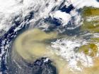 IMAGEN TOMADA DE MIMETEO.COM