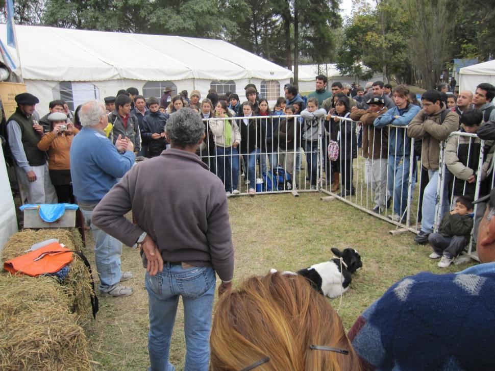 Foto Ampliada