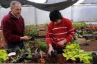 Un jardinero especialmente hábil y trabajador