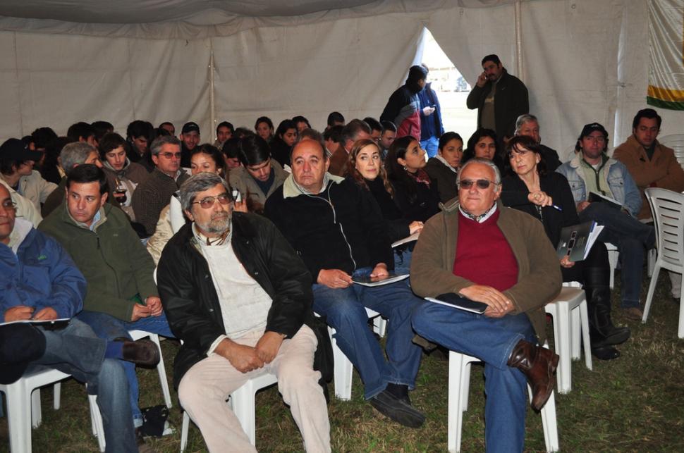 La depuración de la cutis por la espuma de afeitar