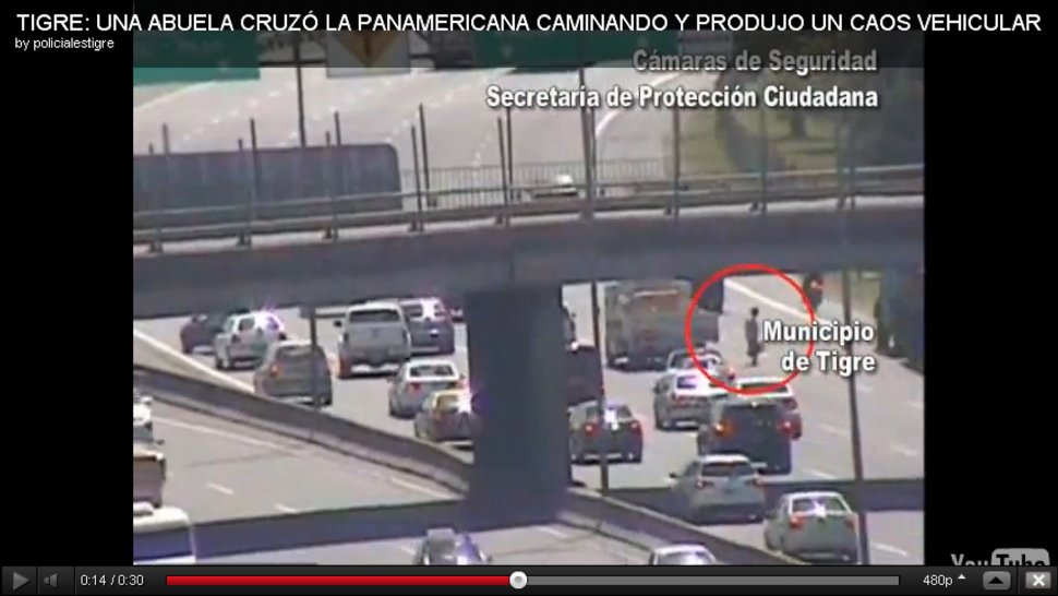 Casi Provoca Una Tragedia En La Panamericana