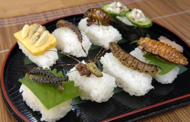 Sushi de insectos