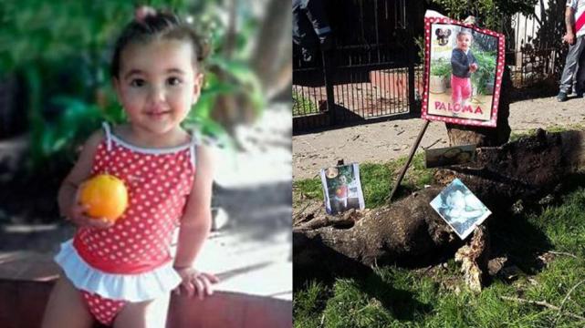 Nena murió aplastada por árbol en calle de Merlo