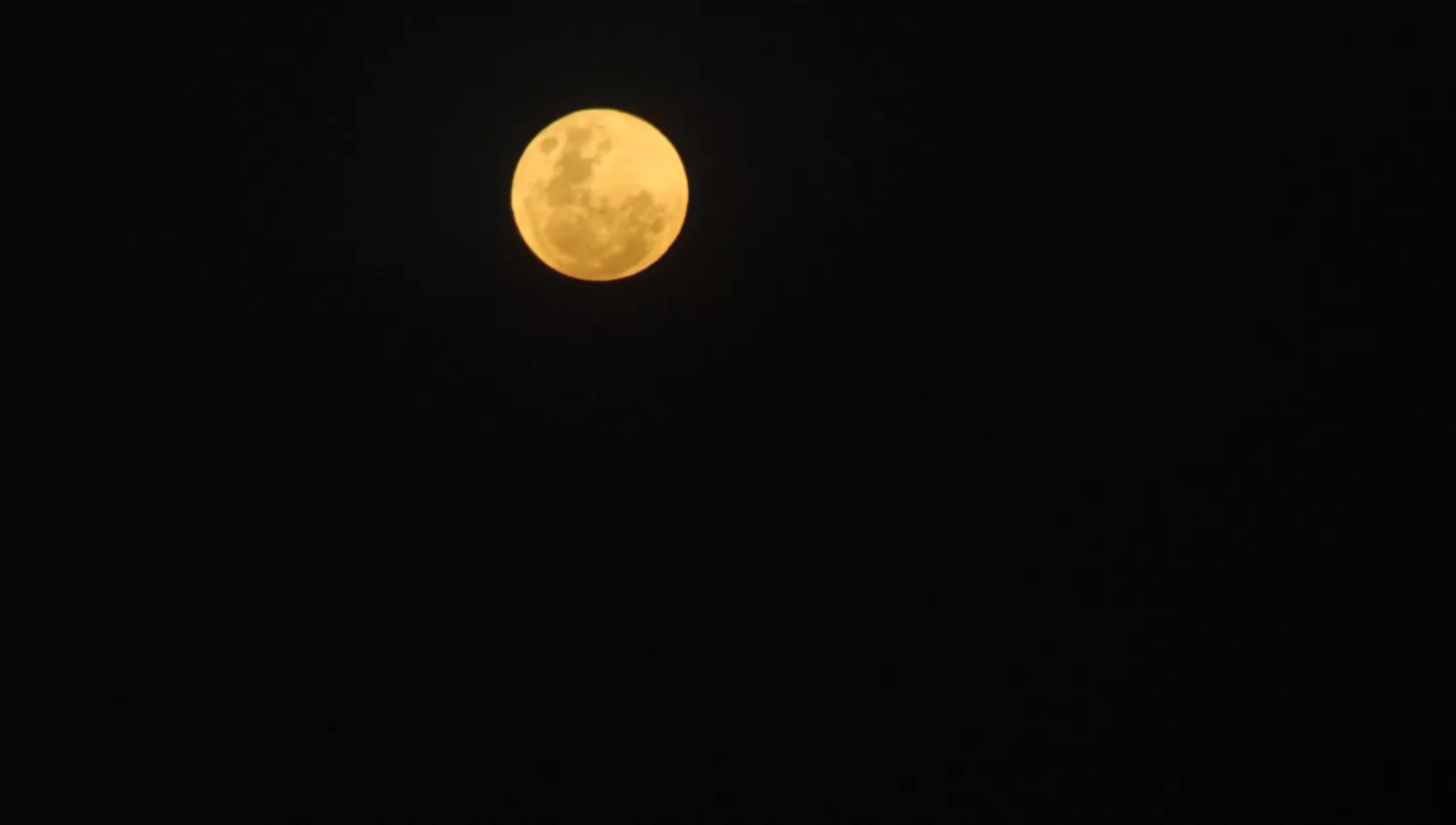 Mirá hacia el cielo ahora No te pierdas la última superluna del año