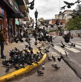 Tres ciudades tucumanas, tres formas de cumplir la cuarentena