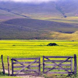 Algunos lugares para recorrer y pasarla muy bien en  las Provincias de Jujuy, Salta, Catamarca y Tucumán 