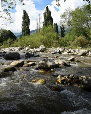 El jardín en vacaciones