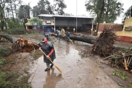 Un fuerte temporal afectó las localidades del sur de la provincia