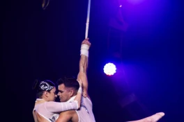 El gran espectáculo del circo