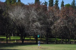 El otoño se hace esperar en Tucumán