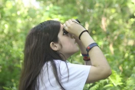 Percy Hill un “bosque” oculto en Tucumán