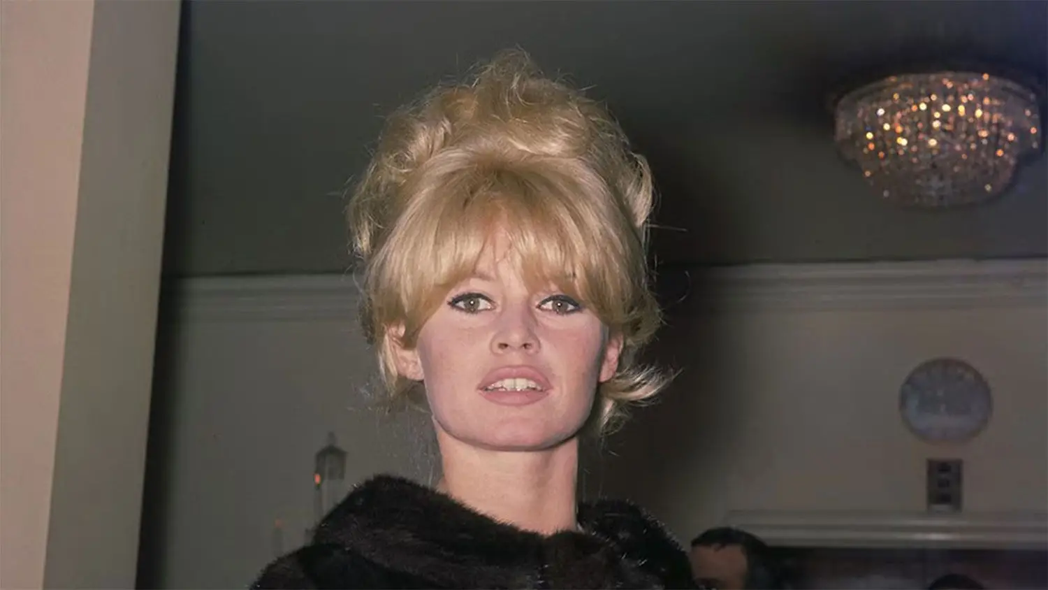La vida de Brigitte Bardot, en imágenes