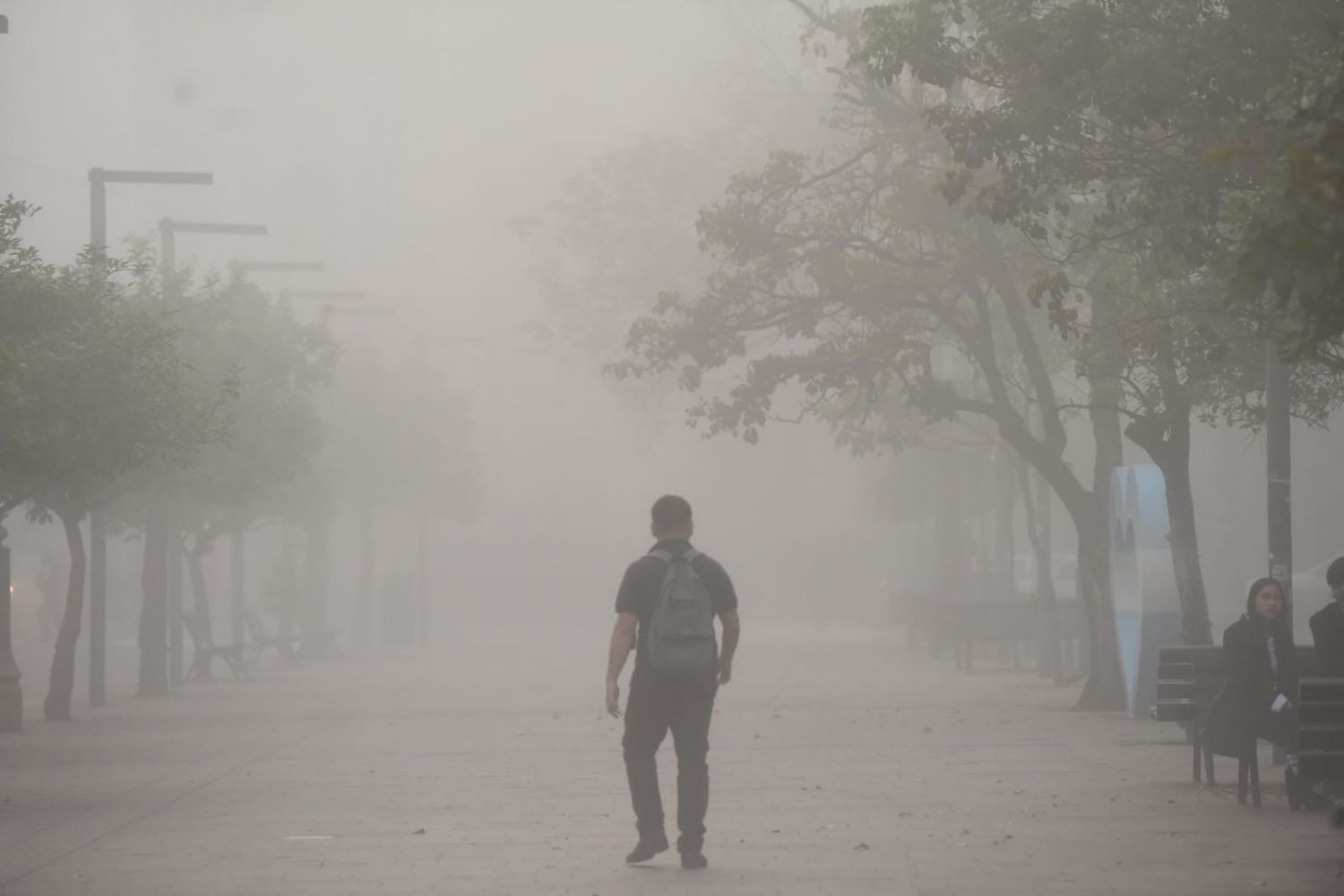 Neblina en Tucumán