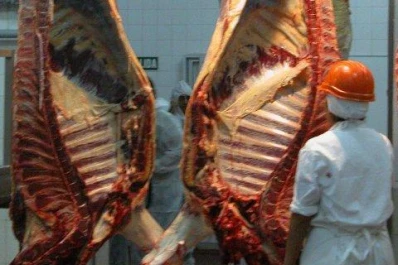 La crisis en el mercado  de la carne alcanza también al gigante Cresud