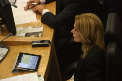Parecidos pero distintos: cada legislador atiende su propio juego