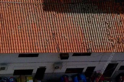 El contrabando y sus consecuencias
