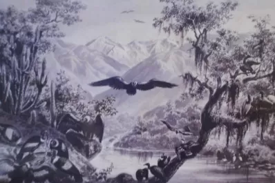 Inglés maravillado en 1881