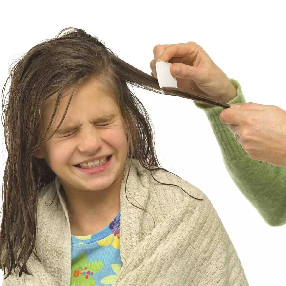 PACIENCIA. Aunque los chicos se enojen, pasales el peine fino en toda la cabellera y acentuá la observación en la nuca y detrás de las orejas.  