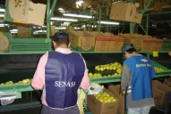 Senasa: la campaña se lanzaría después de Semana Santa