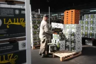 El Gobierno apoya el plan de recuperar el mercado de EEUU