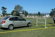 Saber manejar no asegura tu vida