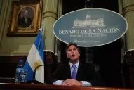 Boudou: No realicé ninguna acción para favorecer a Ciccone