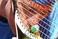 Del Potro besó una mariposa