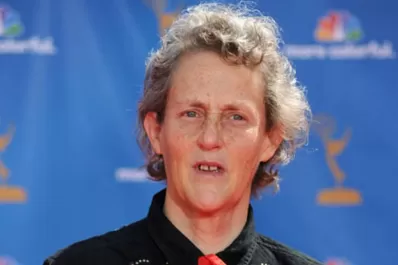 Temple Grandin, ejemplo y referencia en la comunidad autista mundial