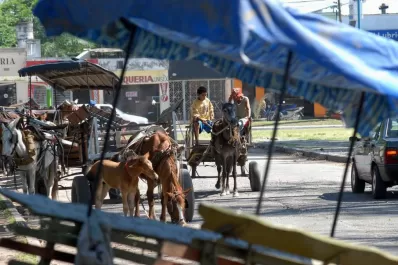 Erradicar los carros, un acto de humanidad