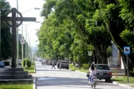 Un plan para proteger los tarcos taficeños