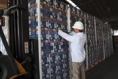 Peligra la campaña de exportación de limones