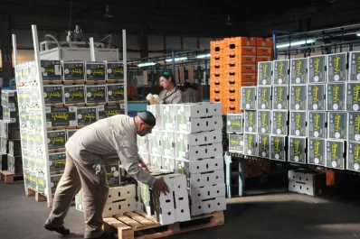 Españoles piden un freno al limón argentino