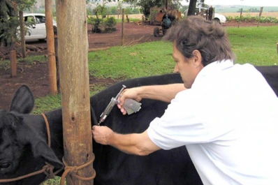 Instan a vacunar el rodeo para evitar pérdidas