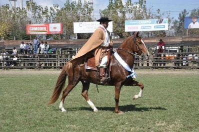 El concurso de caballos peruanos durará tres días