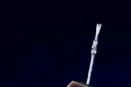 La producción de yerba mate viene trancada