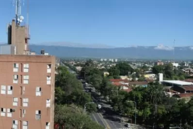 La Justicia le pidió al intendente Amaya que resguarde los pulmones de manzana