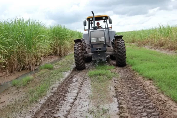 La lluvia demorará el inicio de la zafra azucarera en Tucumán