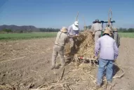 Hay 63.843 familias con conflictos por las tierras