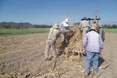 Hay 63.843 familias con conflictos por las tierras