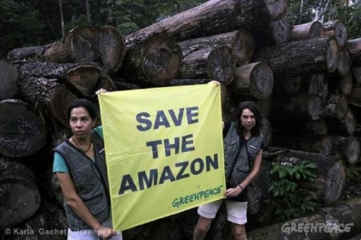 Rousseff sufrió una dura derrota con  la aprobación del Código Forestal