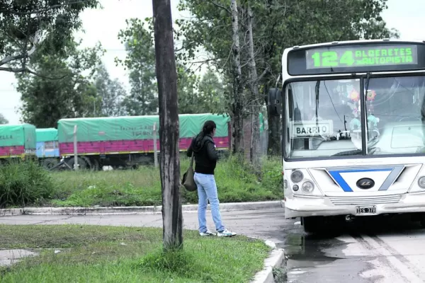 En el barrio Rincón del Este se roban hasta las macetas