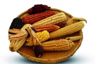 A disfrutar de este regalo de los dioses